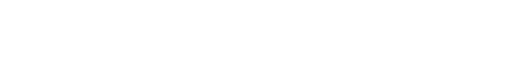 SAMPLE COMPANY